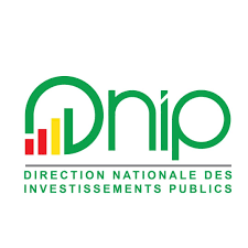 DNIP  logo